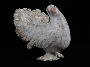 Pigeon queue de paon indien - Pièces de Nadine JANIN